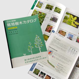 栽培樹木カタログ